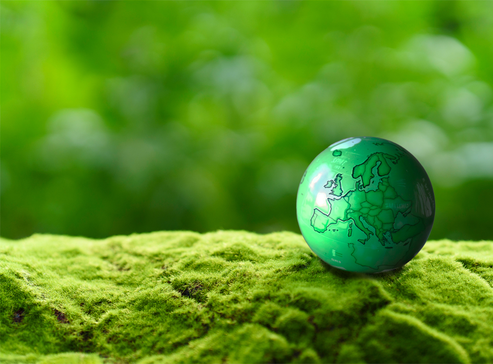 Il recupero dei rifiuti dalla prospettiva europea - copertina mondo green